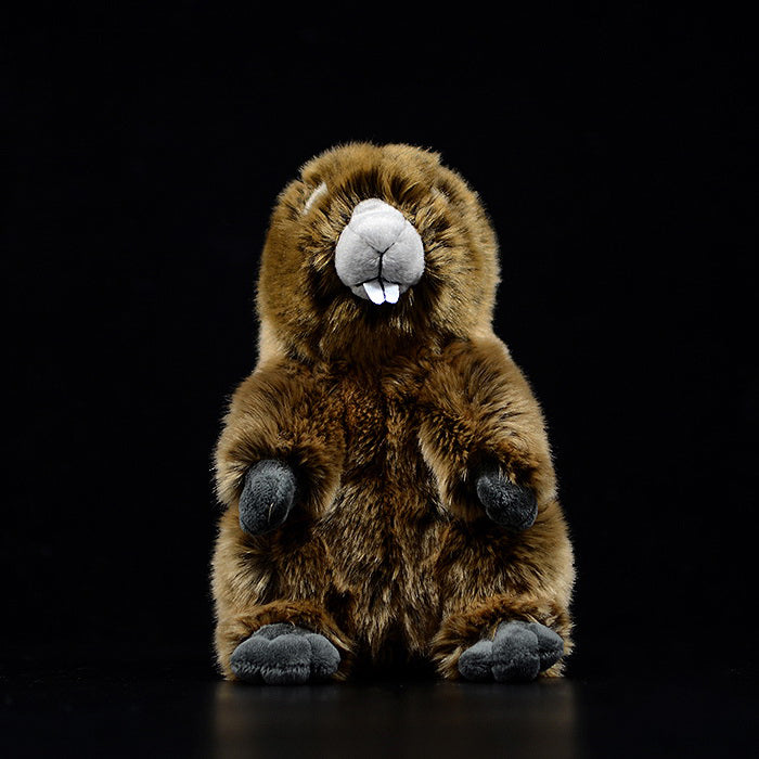 Realistic Groundhog Stuffed Animal Soft Plush Lifelike Toys