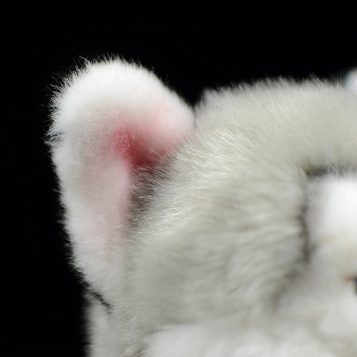Realistic Husky Cub Dog Stuffed Animal Plush Toy