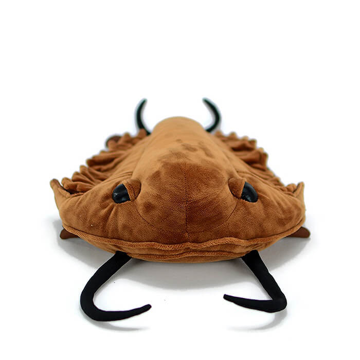 Realistic Redlichiida Trilobites Stuffed Animal Plush Toy