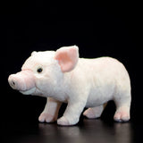 Realistic Domestic Pig Stuffed Animal Plush Toy