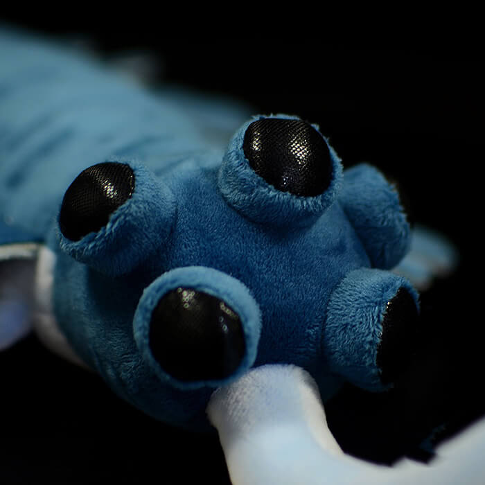 Realistic Opabinia Stuffed Animal Plush Toy