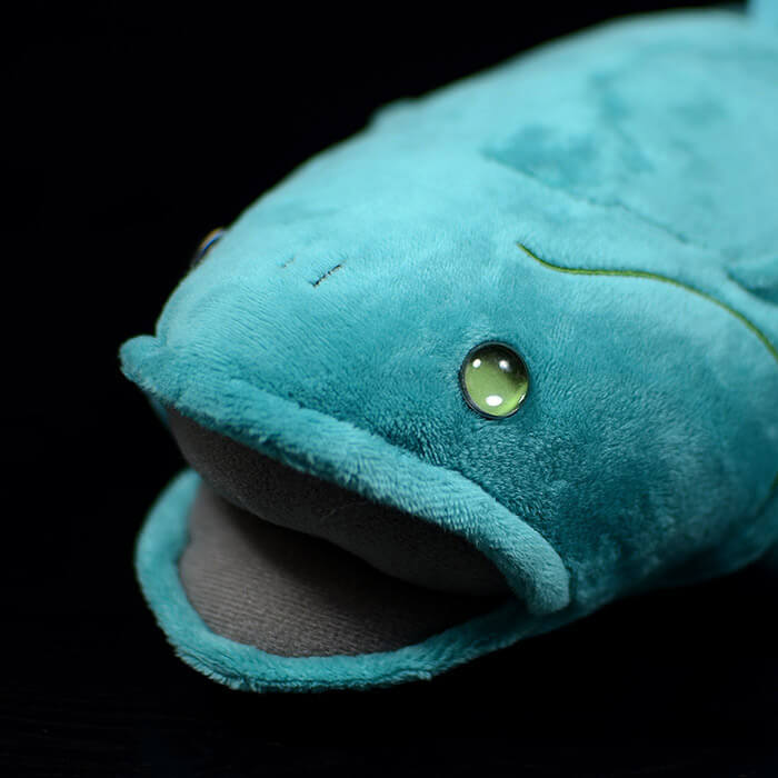 Realistic Coelacanth Stuffed Animal Plush Toy