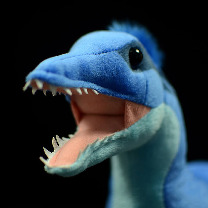 Realistic Microraptor Stuffed Animal Plush Toy – KEAIART