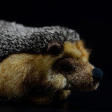 Realistic Hedgehog Stuffed Animal Plush Toy