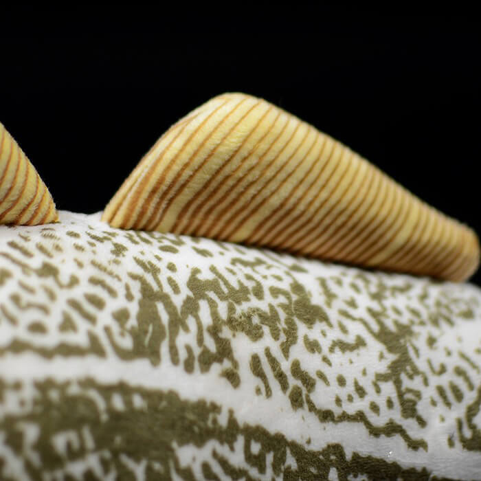 Cod Fish Toy Realistic Cod Fish Stuffed Animal Plush Toy – KEAIART
