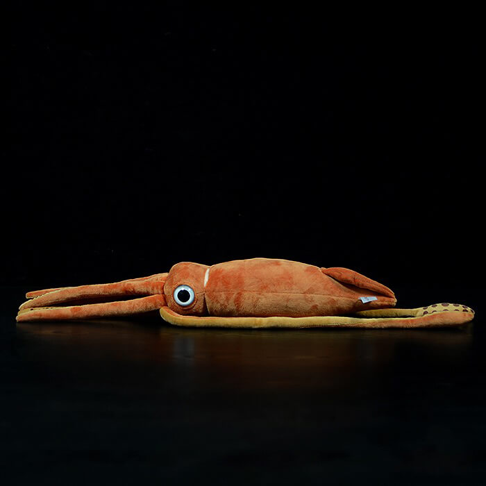 Realistic Sepiida Stuffed Animal Plush Toy