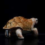 Realistic Galapagos Tortoises Stuffed Animal Plush Toy