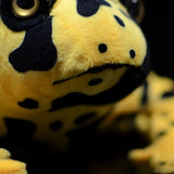 Realistic Dendrobates Leucomelas Stuffed Animal Plush Toy
