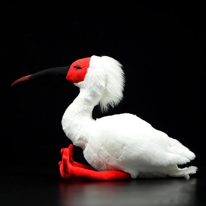 Realistic Crested ibis Stuffed Animal Plush Toy
