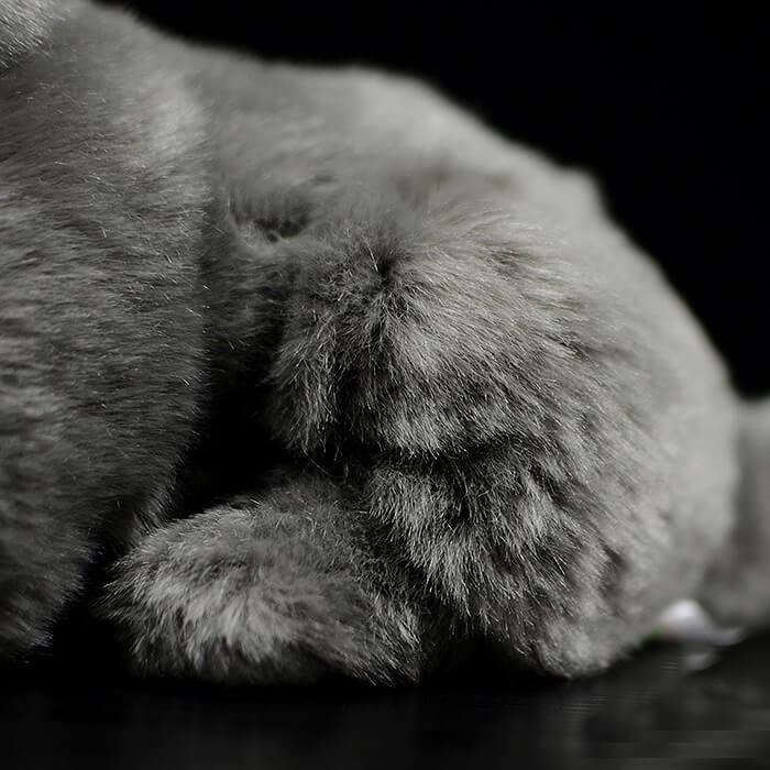 Realistic British Shorthair Cat Stuffed Animal Plush Toy