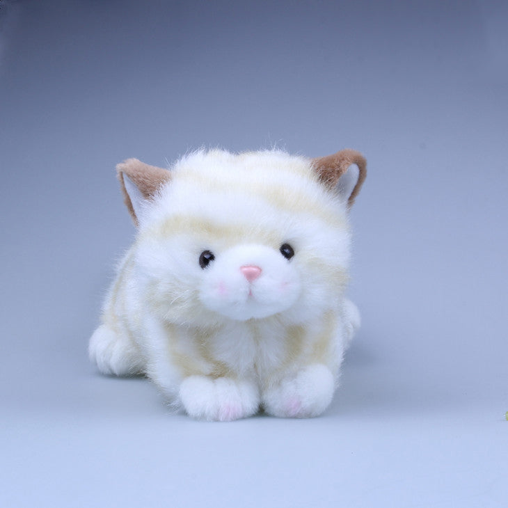 Cute Cat Stuffed Animal Plush Toy - 25cm, 10inches