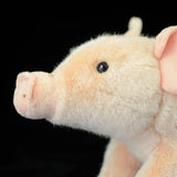 Realistic Sitting Domestic Pig Stuffed Animal Plush Toy