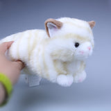 Cute Cat Stuffed Animal Plush Toy - 25cm, 10inches