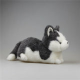 Cute Husky Dog Stuffed Animal Plush Toys