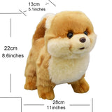 Realistic Yellow Pomeranian Dog Stuffed Animal Plush Toy